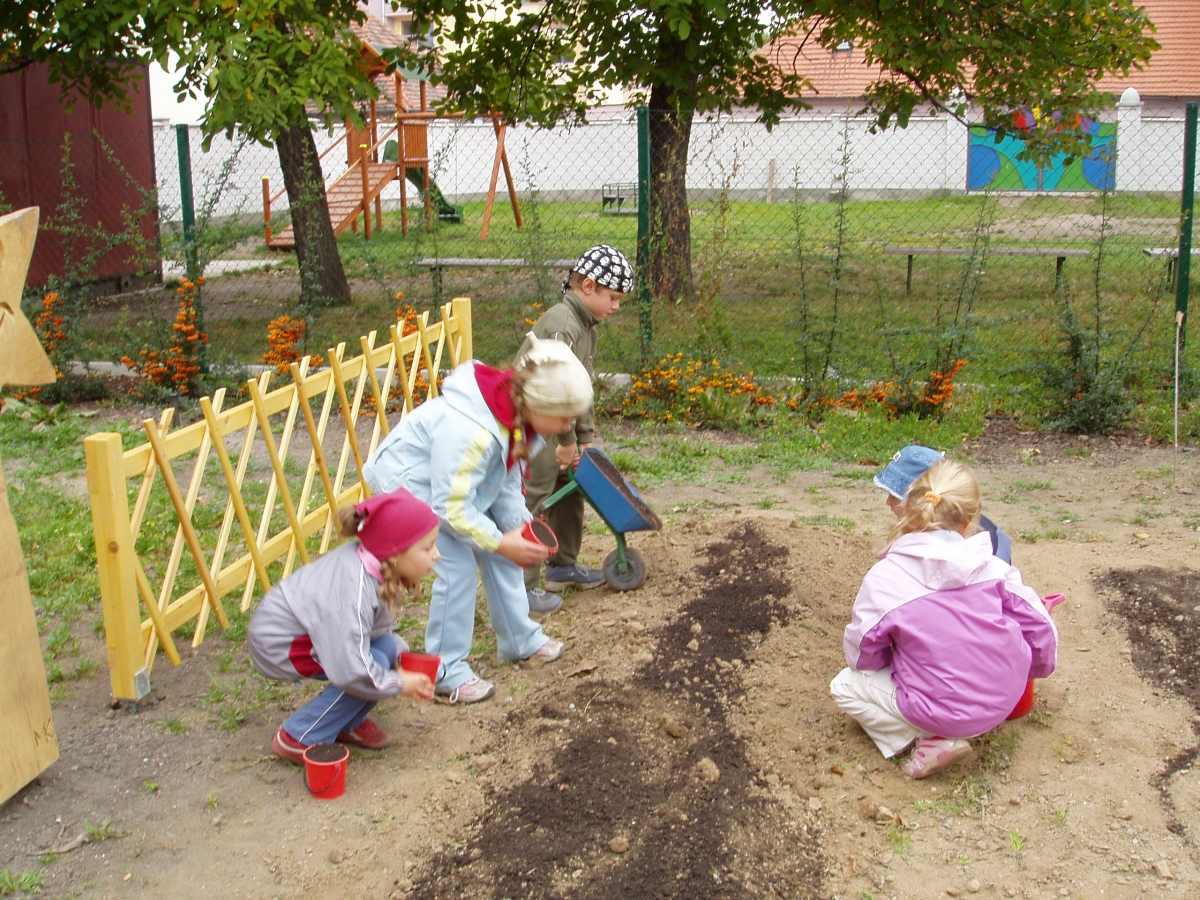 Na kolečku dovezeme zeminu